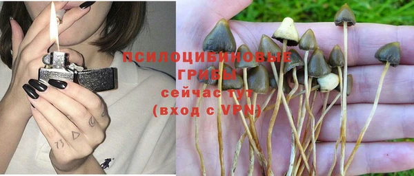 mix Алексеевка